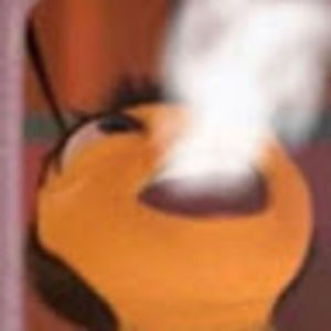 Meet your Posher, Seth